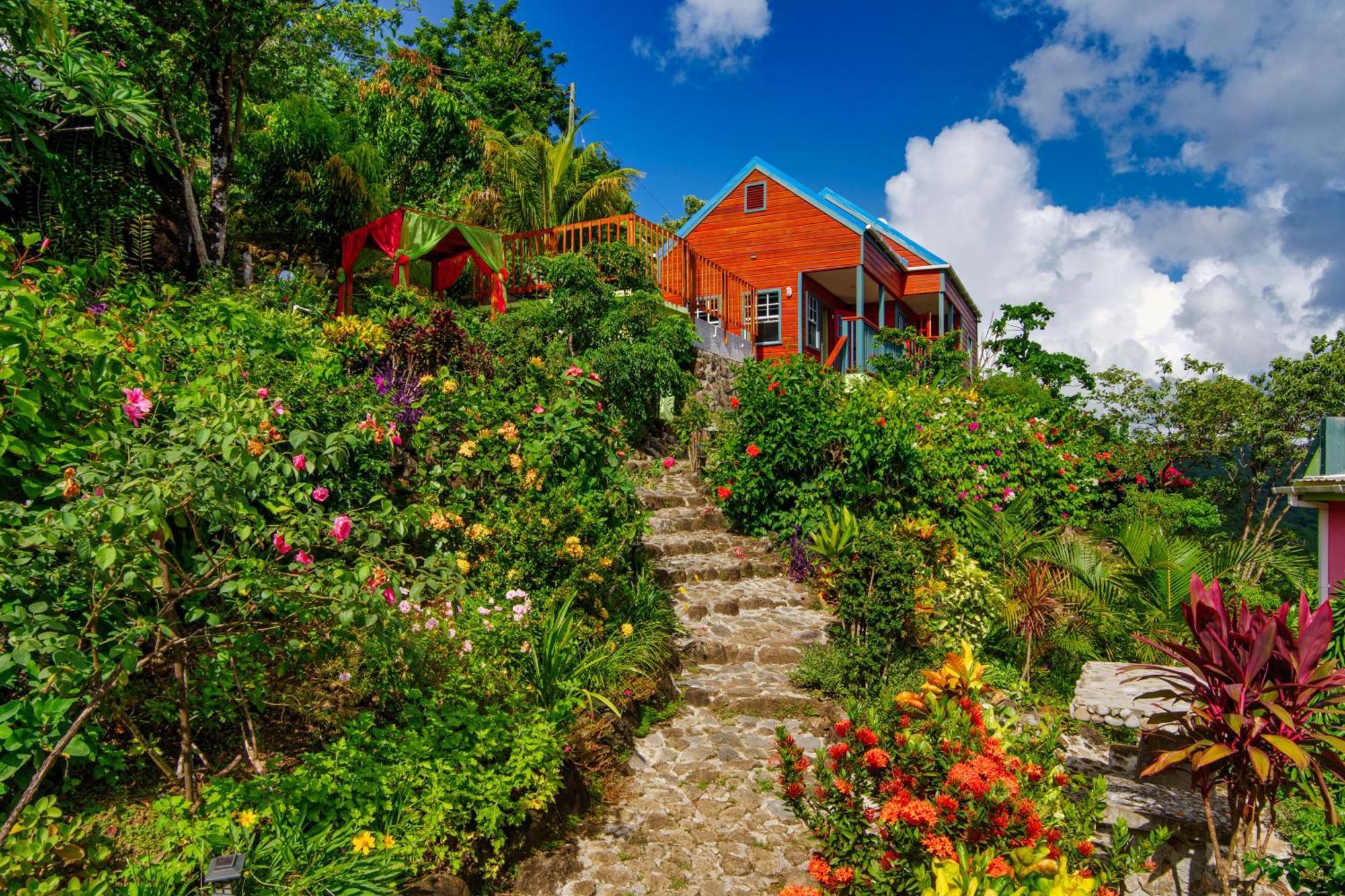 Tropical Paradise View Anse La Raye 외부 사진